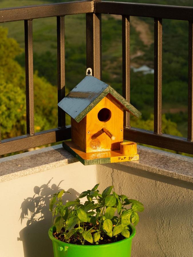 Apartment Village House Ravno Luaran gambar