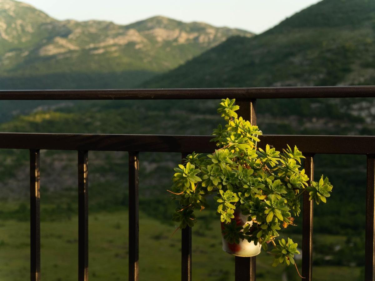 Apartment Village House Ravno Luaran gambar